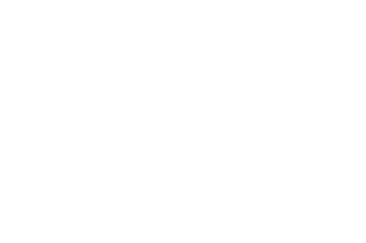 Flint for Those Who Dare, Best Short Documentary Manhattan Independent Film Festival